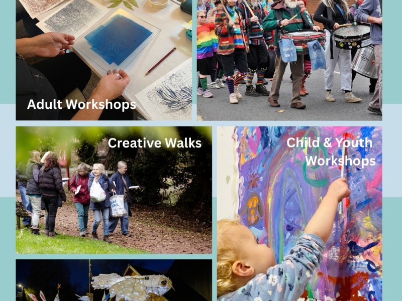 A Year of Creative Growth in the Forest for&nbsp;Canopy