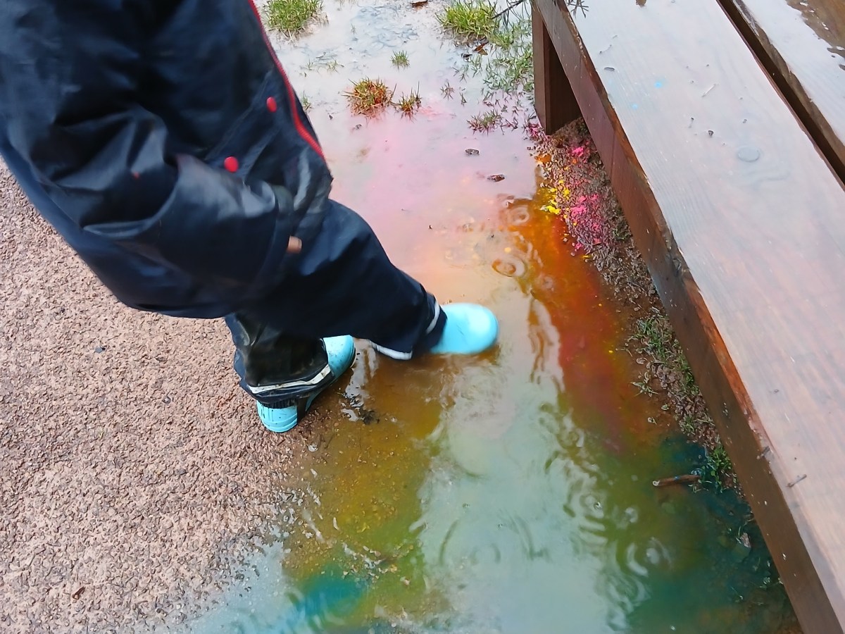 A Damp but Delightful Family Creative Walk at&nbsp;Beechenhurst