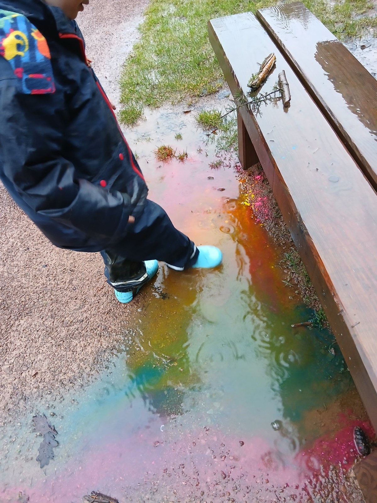 A Damp but Delightful Family Creative Walk at&nbsp;Beechenhurst